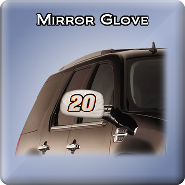 Mirror Glove